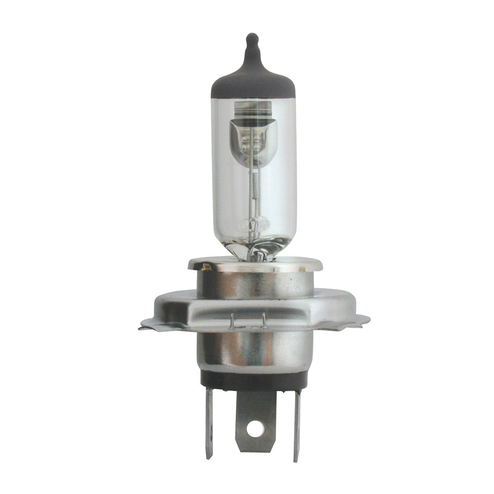 Halogen Headlight Bulbs (PR)