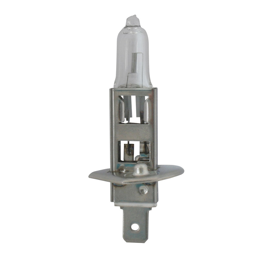 Halogen Headlight Bulbs (PR)