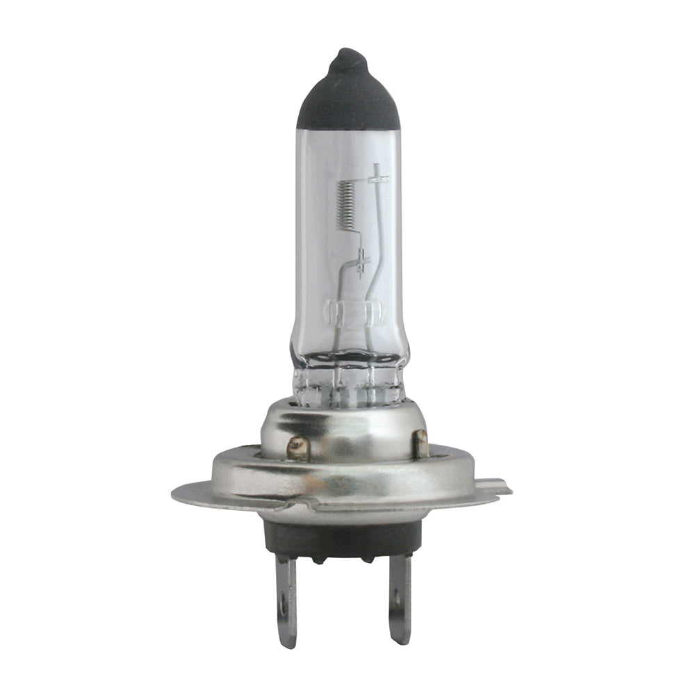 Halogen Headlight Bulbs (PR)