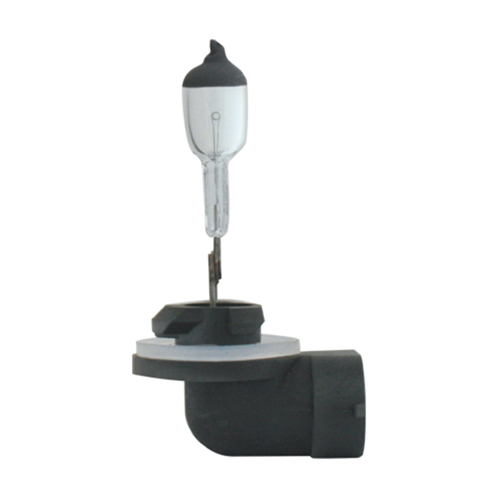 Halogen Headlight Bulbs (PR)