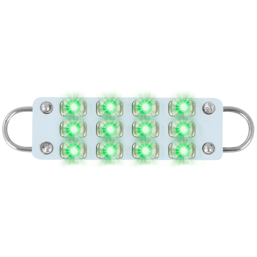 561 Interior LED Bulbs (PR)