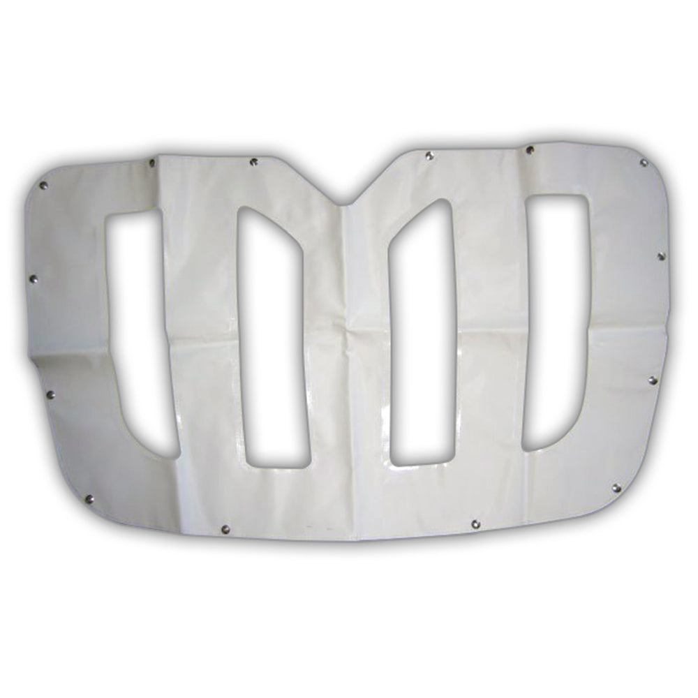 International Prostar White Winterfront