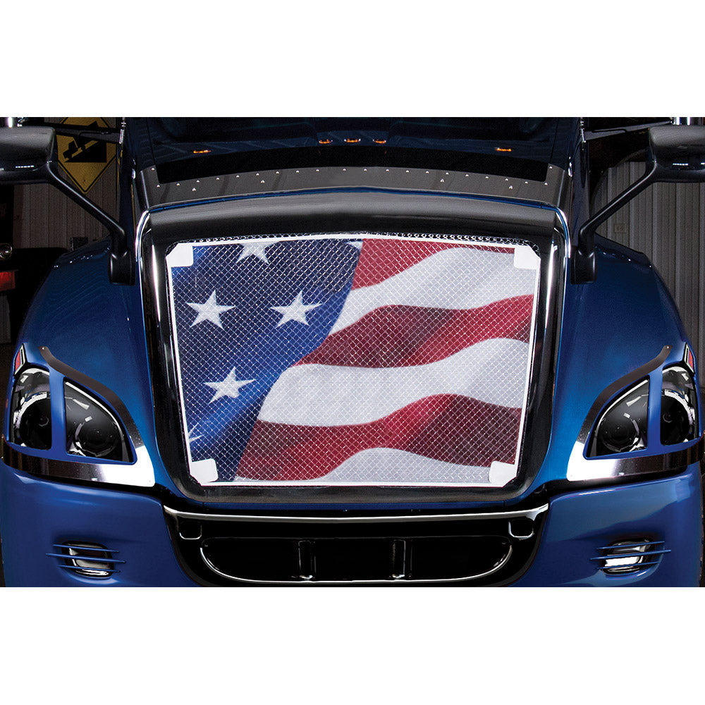 Belmor Bugscreen for International Prostar, RH