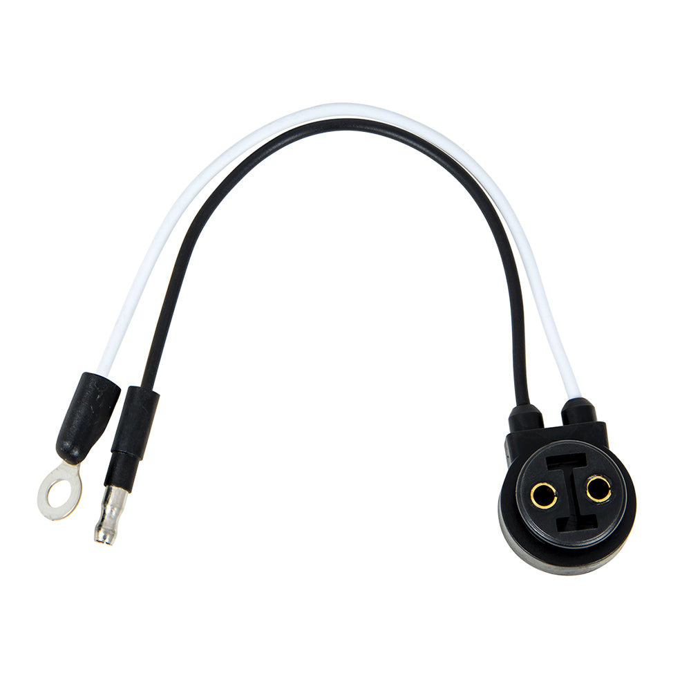 Round 2 Prong Plug to Single Bullet Plug & Ring
