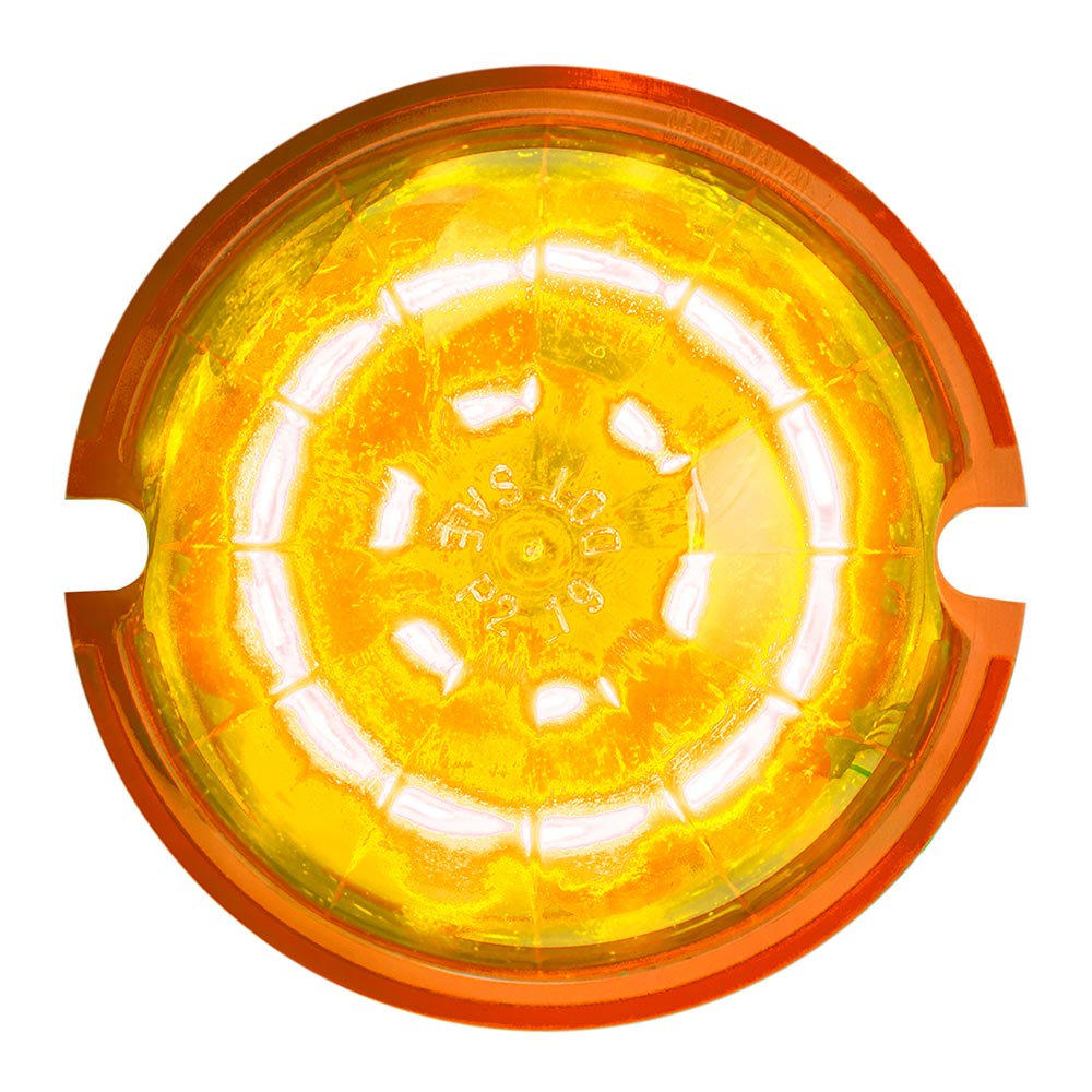 Classic Surface Mount Watermelon 18 LED Light