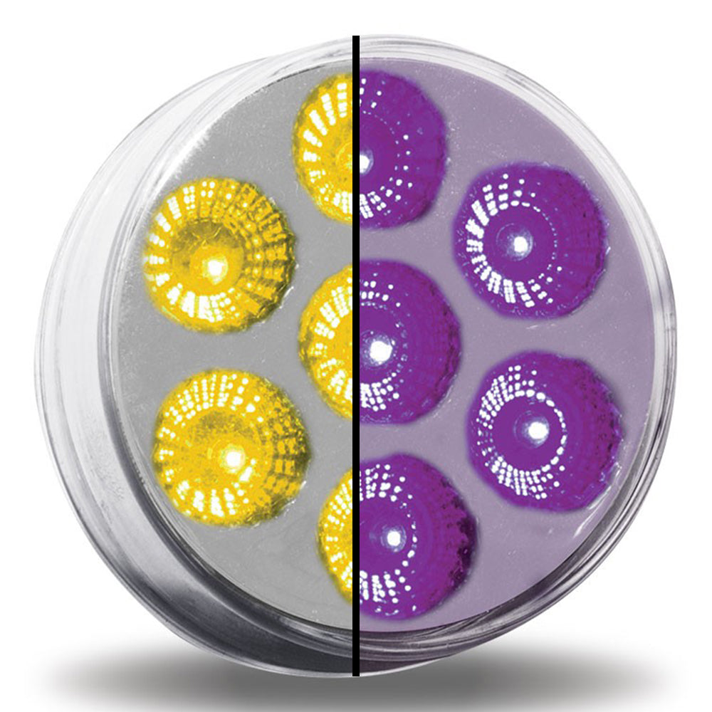 2-1/2" Dual Revolution LED Light