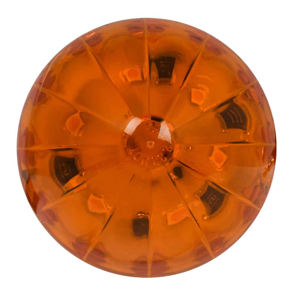 2" Watermelon LED Light