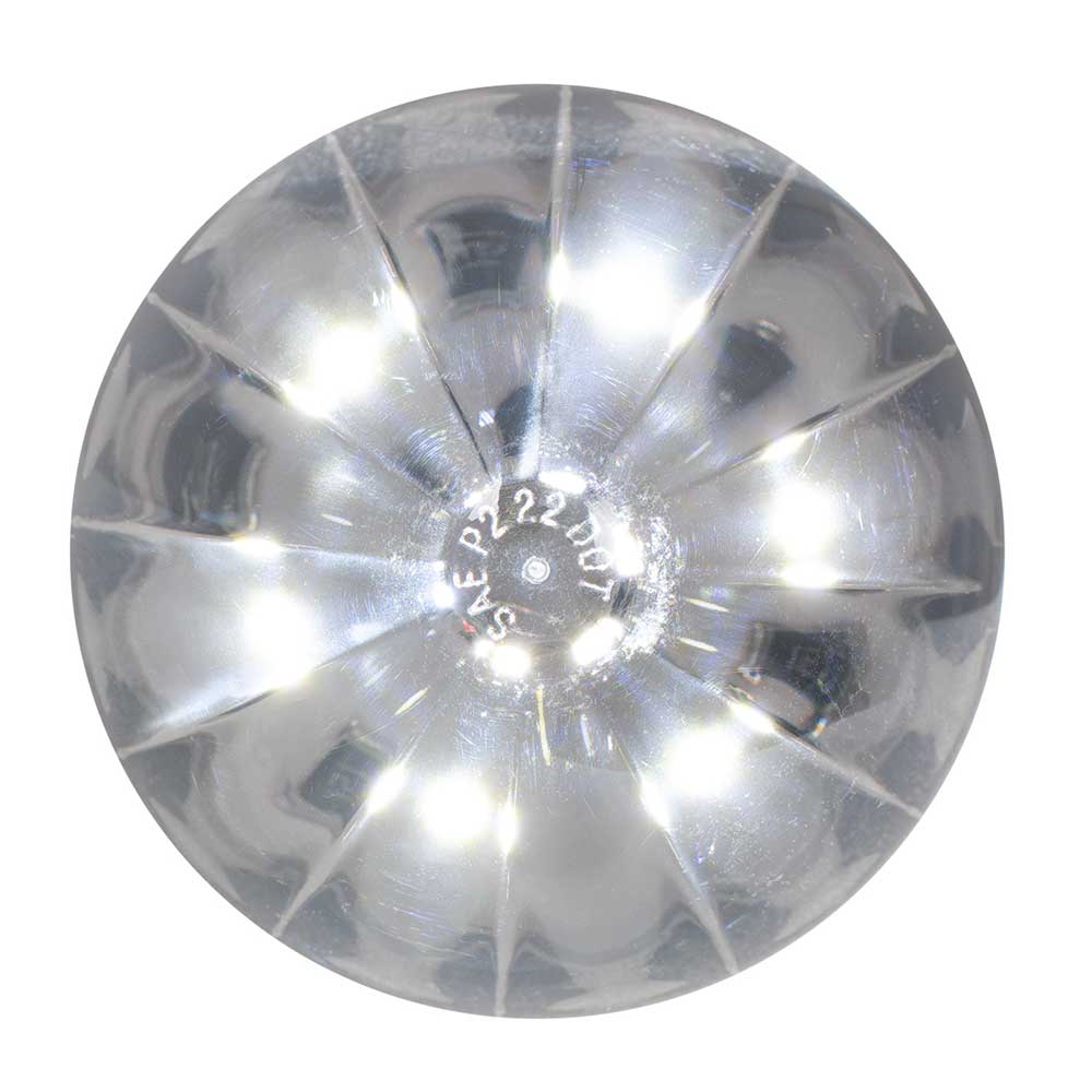 2-1/2" Watermelon LED Light in Smoke Lens