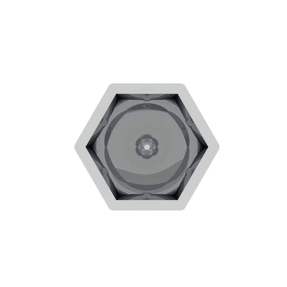 15/16" x 1-5/8" Chrome Plastic Bullet Nut Cover