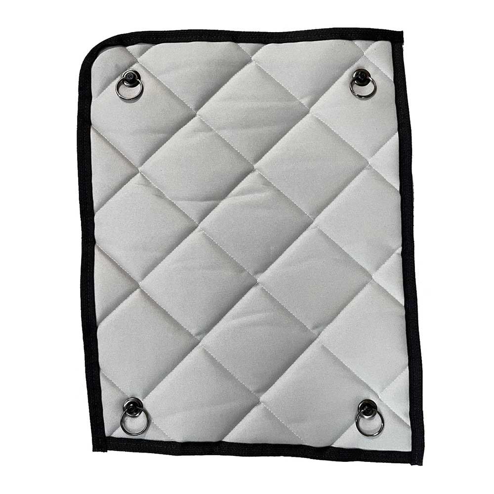 International LT, Lonestar, RH ZenEclipse SunBlocker - Grey Passenger Side