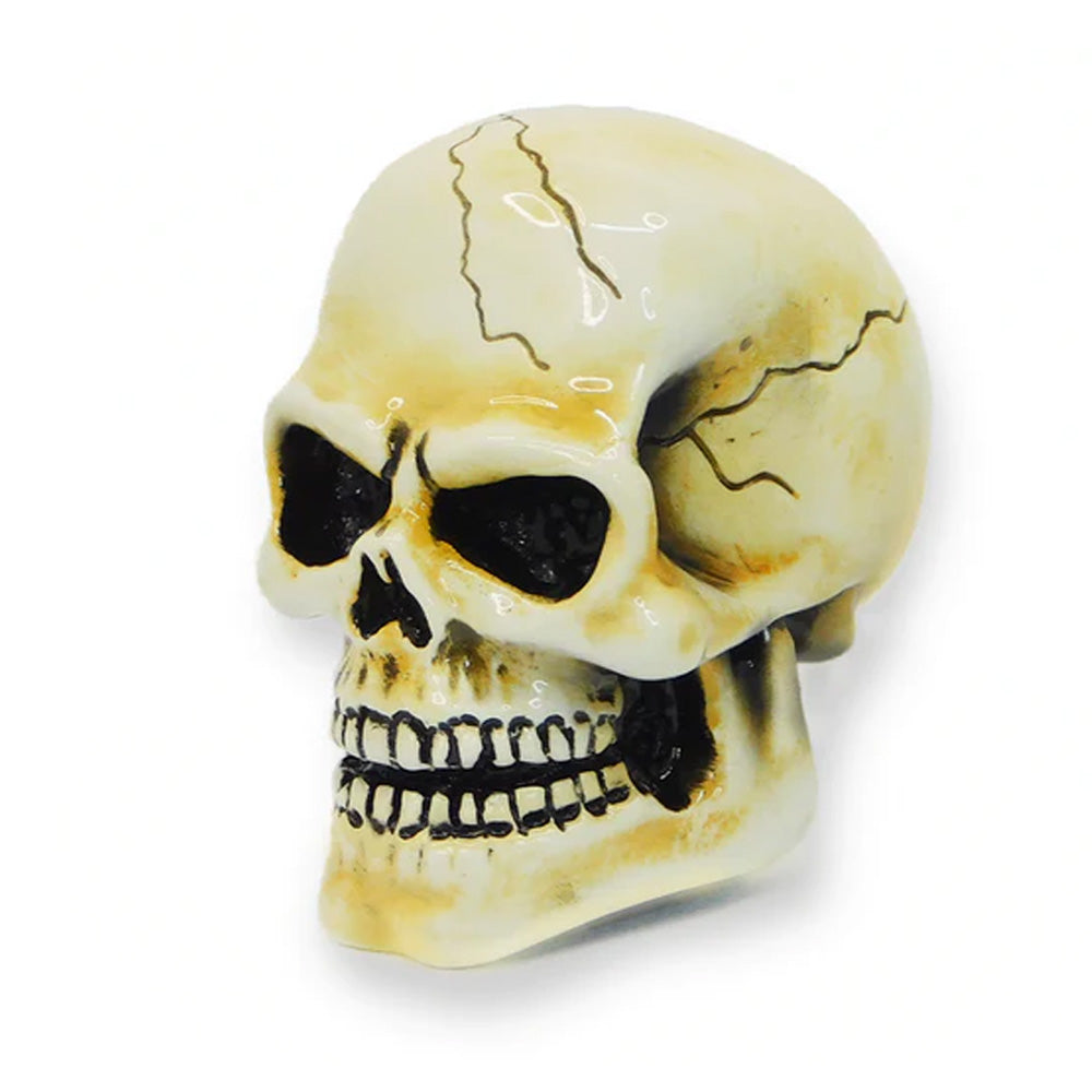 Arnold Skull Shifter Knob