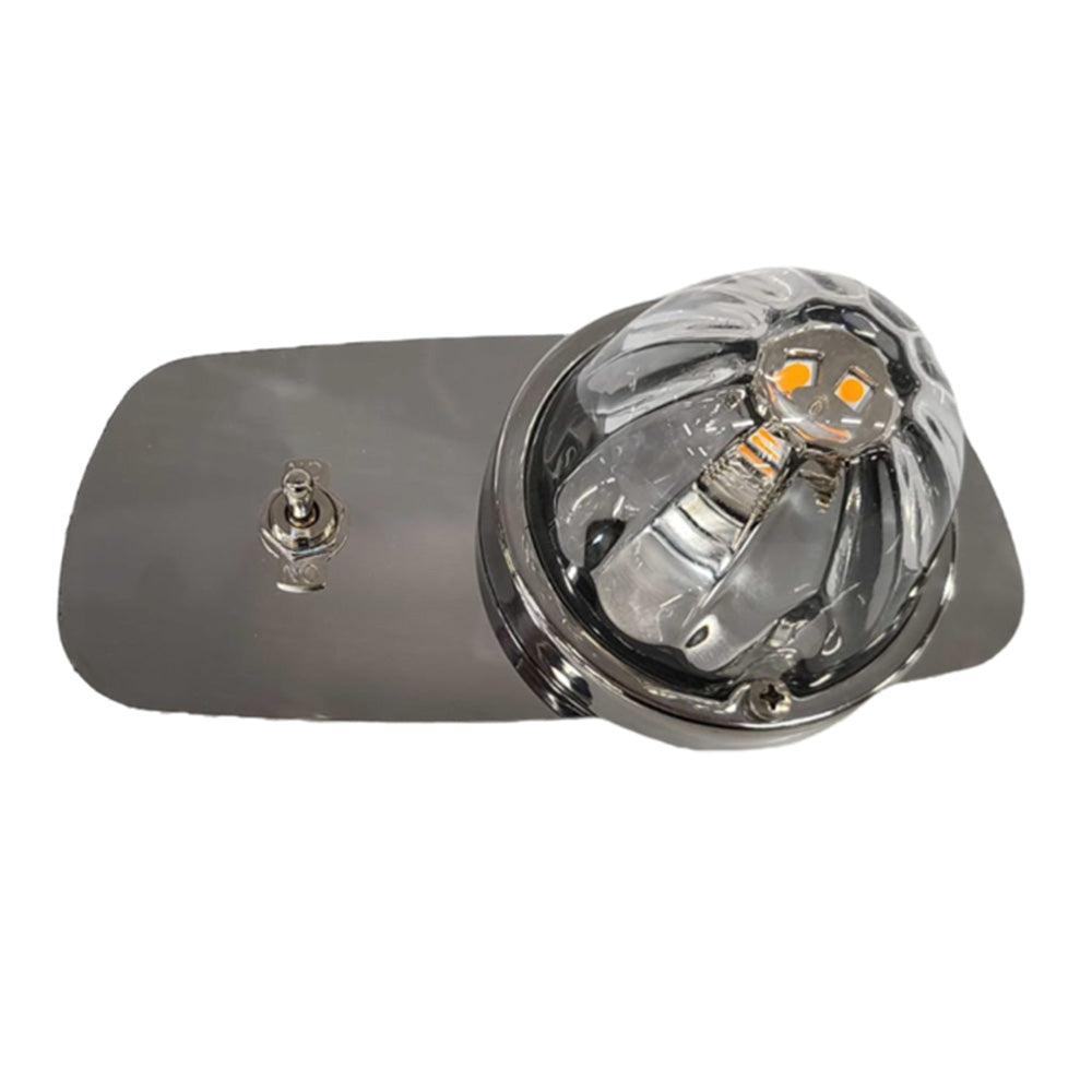 Kenworth T660, W900 Passenger Side Watermelon Dome Light Bracket