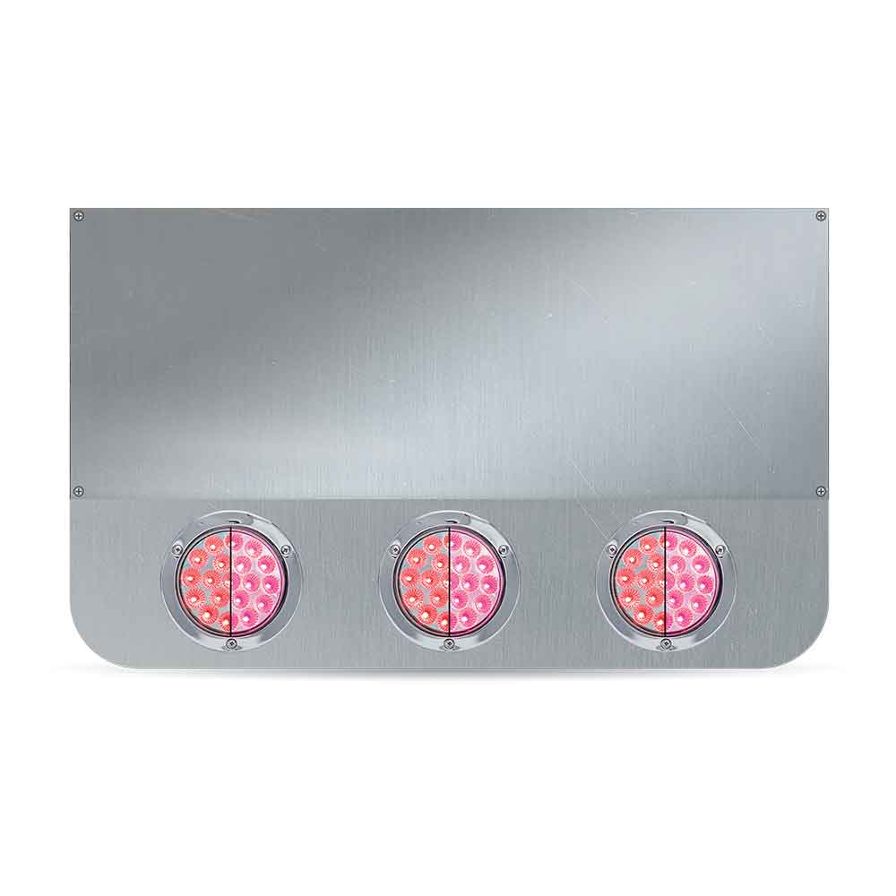 20" Drop Center Panel with Eight 4" Red/Pink LEDS