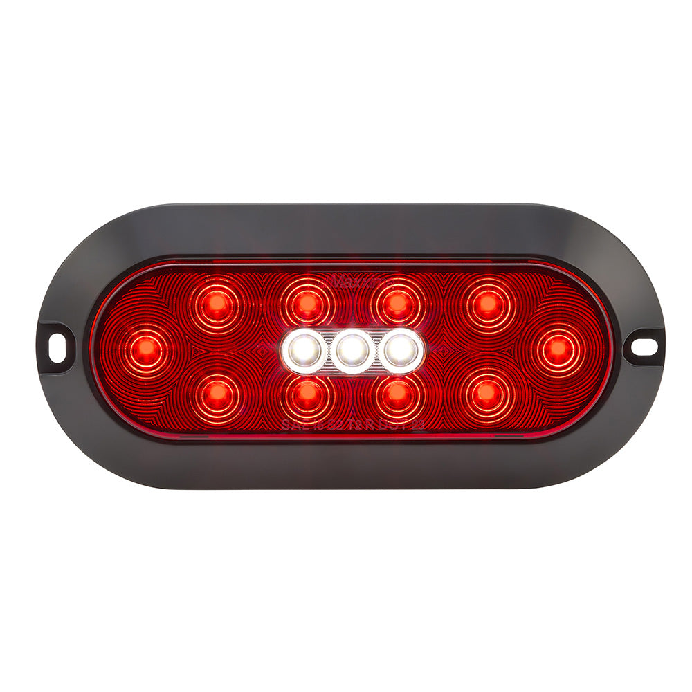 6" Oval Stop/Turn/Tail and Back Up Surface Mount Light