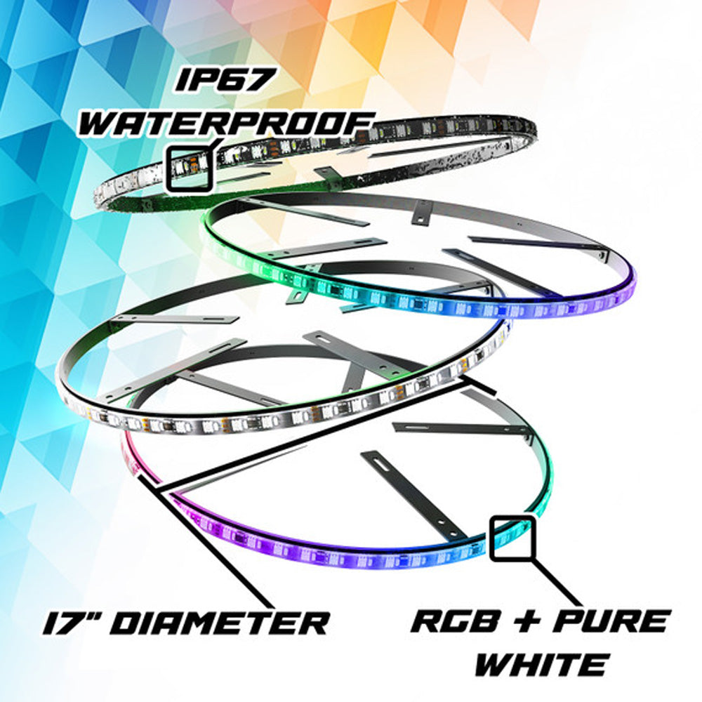 XK Max Wheel Under Glow Kit