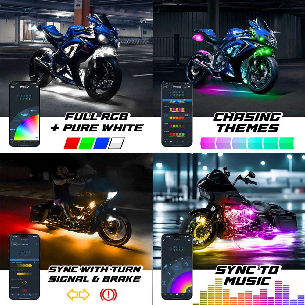 Sixteen Piece XKMax Engine, Under Glow and Accent Light Kit