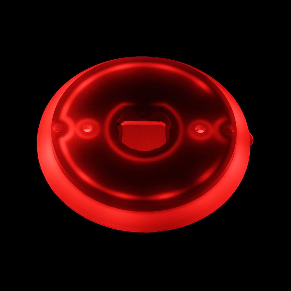 Halo Glow LED Watermelon Back Light