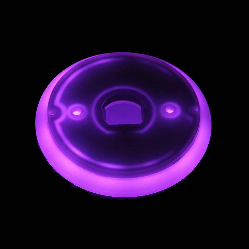 Halo Glow LED Watermelon Back Light