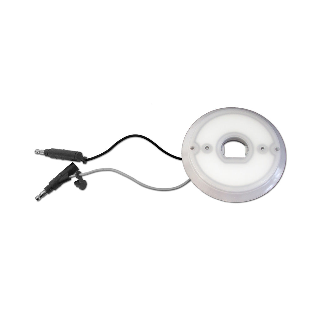 Halo Glow LED Watermelon Back Light