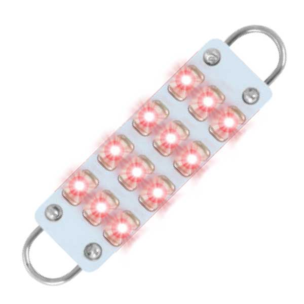 561 Interior LED Bulbs (PR)