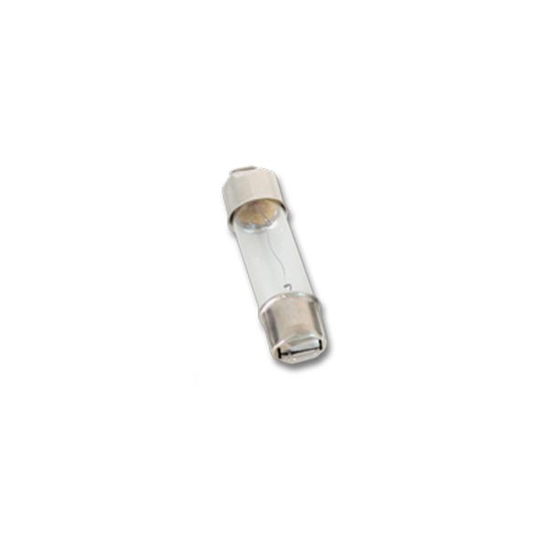 Clear Painted Glass Dome Light Bulb PR