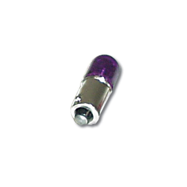 Purple Glass 1893 Light Bulb