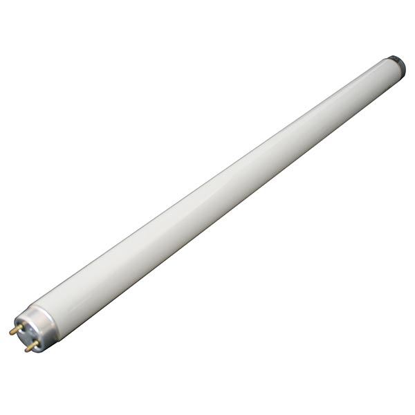 17" White Fluorescent Light
