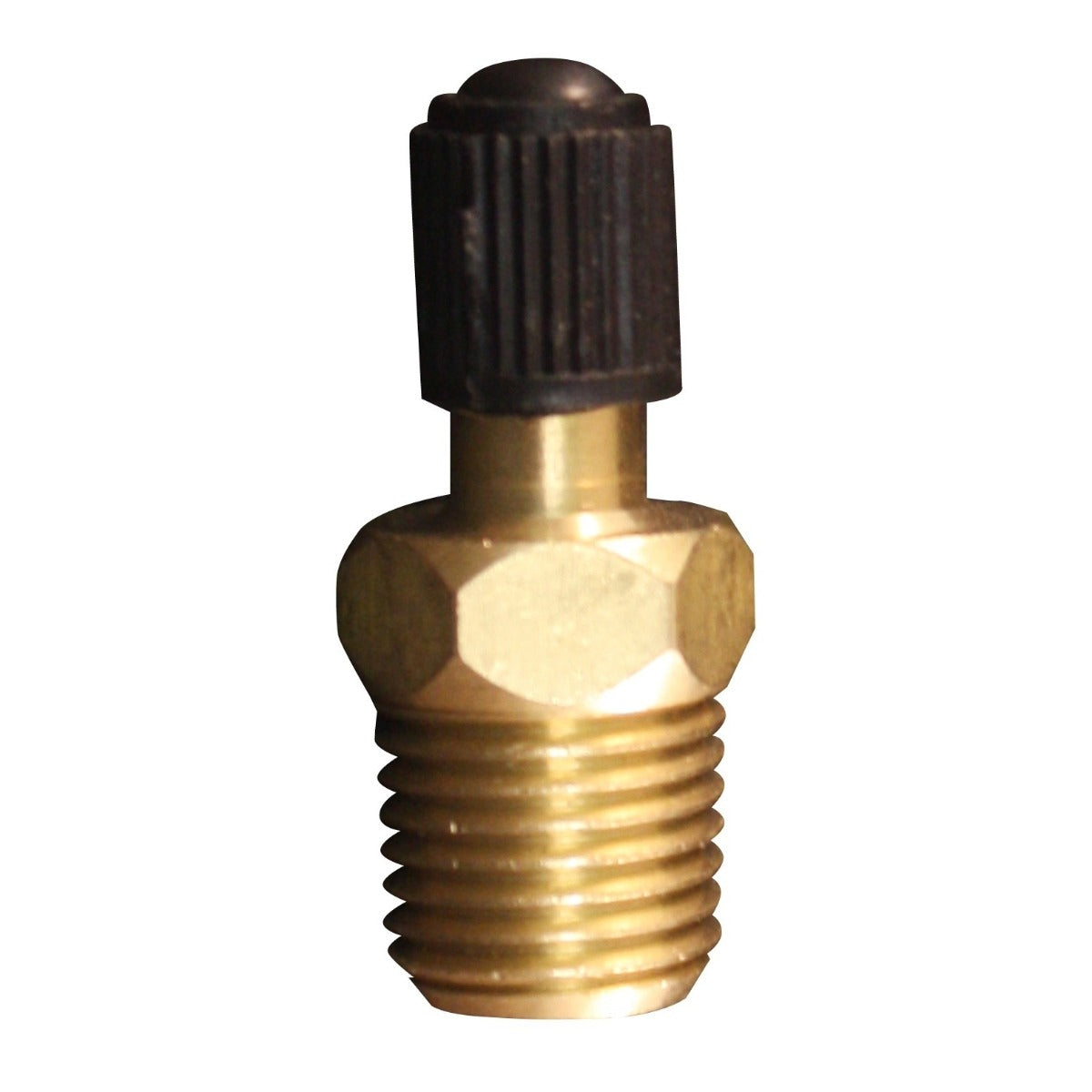 1/4" MNPT Male Tank Valve