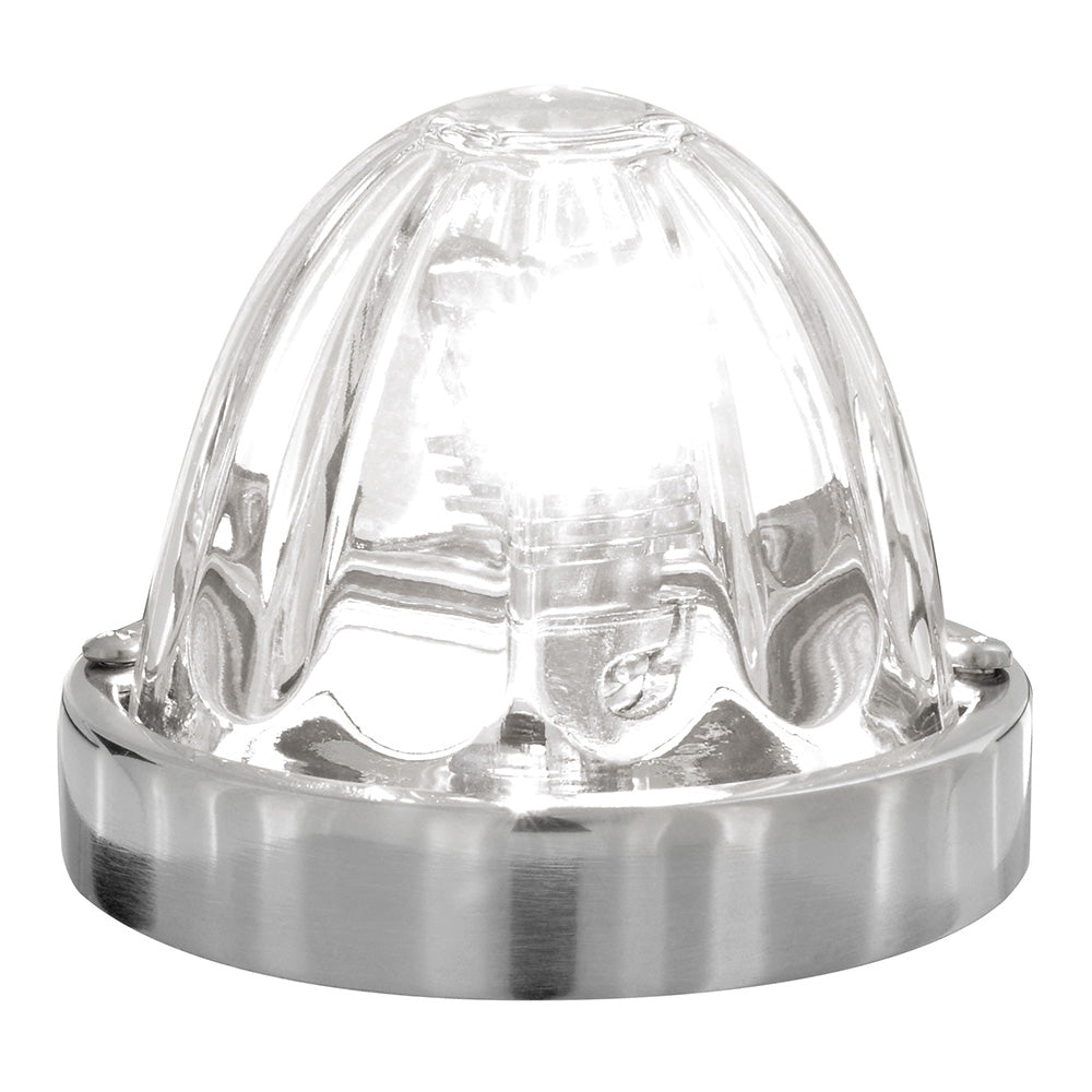 Watermelon Glass 1157 Bulb Lens Kit