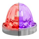 Dual Color #1157 Watermelon Plus Glass Lens Kit