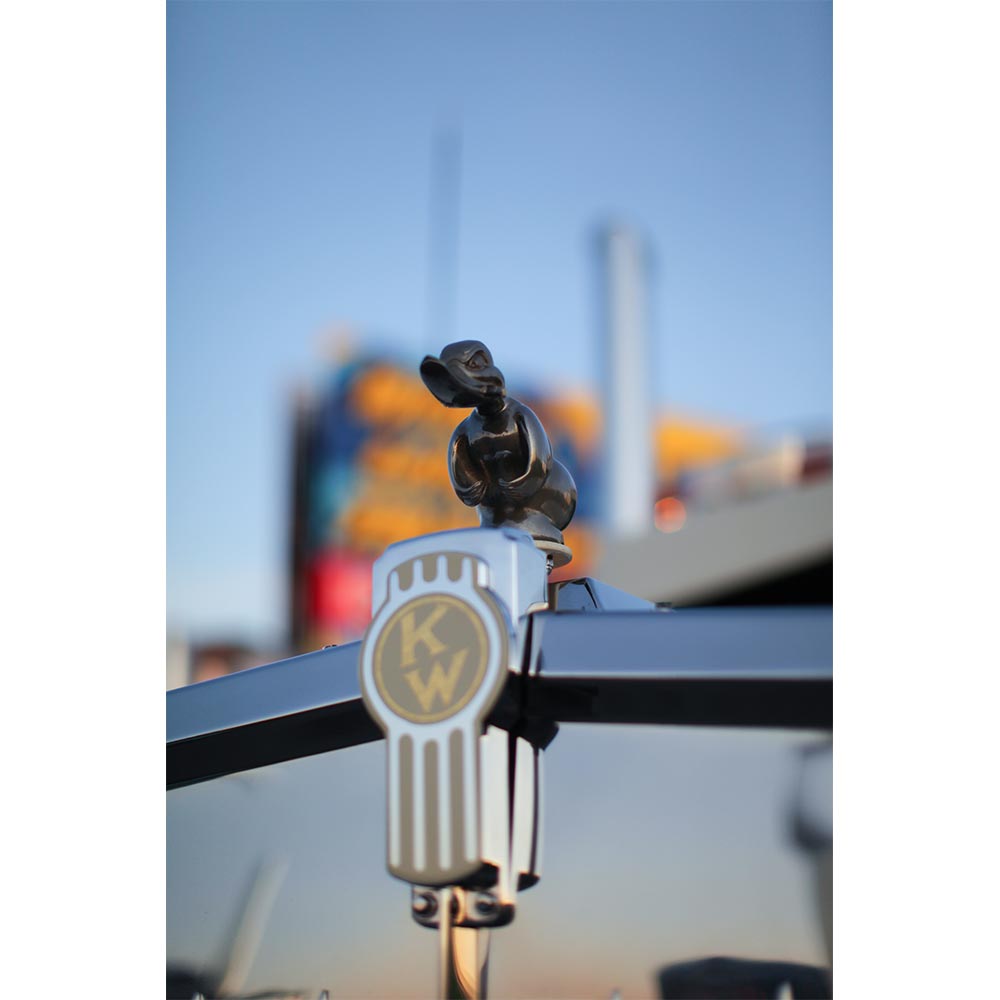 Black Rubber Duck Semi Hood Ornament | Iowa80.com – Iowa 80