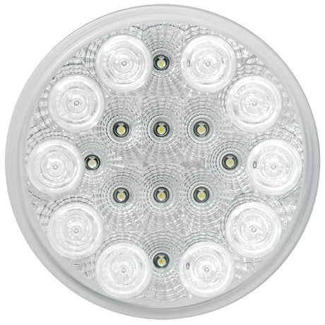 4" White 20 LED spyder back up light, close-up