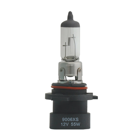 Close-up of halogen headlight bulbs (PR)