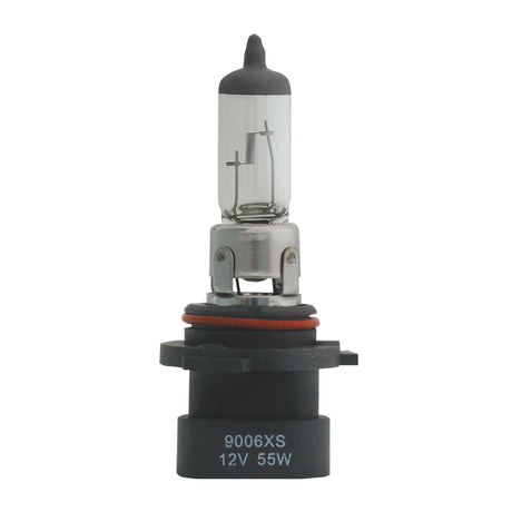 Another angle of halogen headlight bulbs (PR)