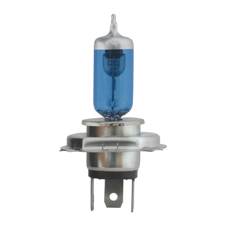 Detail of halogen headlight bulbs (PR)