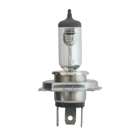 Halogen headlight bulbs (PR) up close