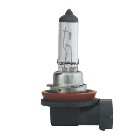Another angle of halogen headlight bulbs (PR), another angle