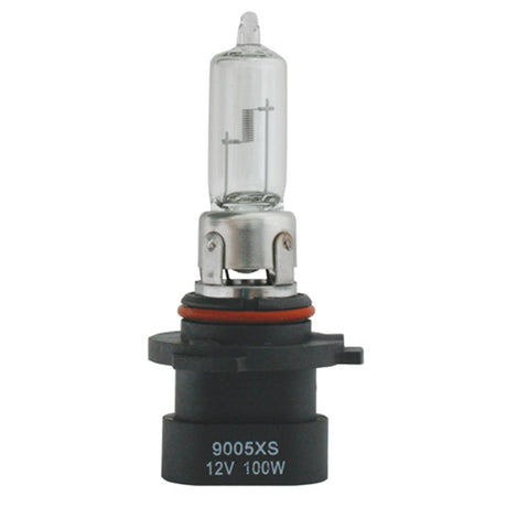 Closer view of halogen headlight bulbs (PR), up close