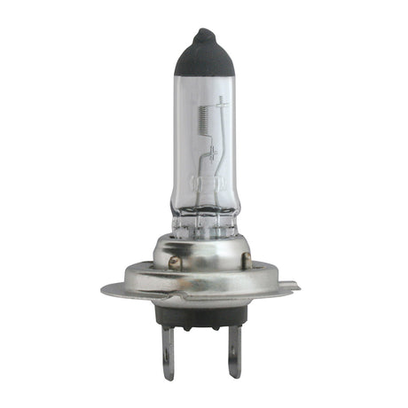 Halogen headlight bulbs (PR), close-up, another angle