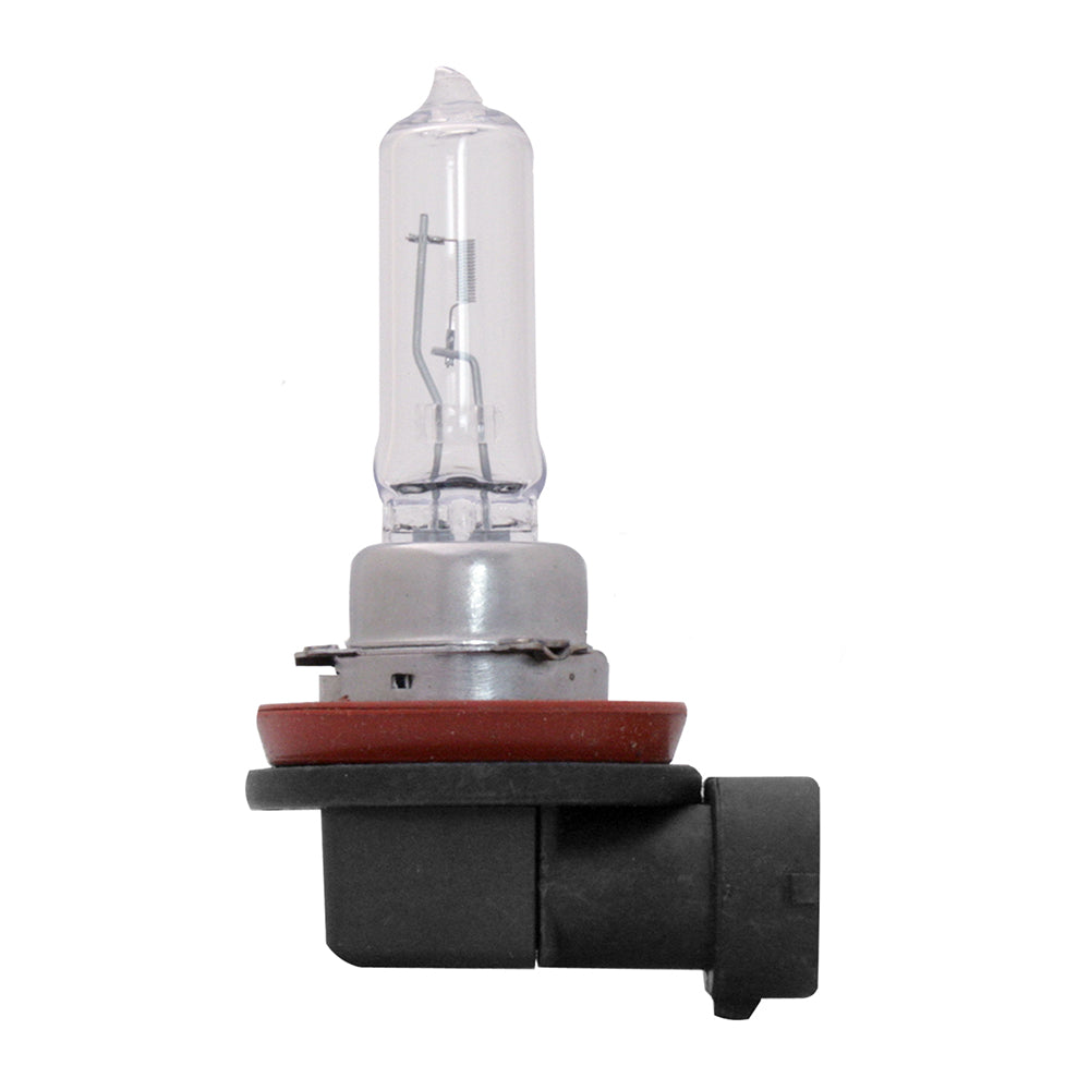 Halogen Headlight Bulbs (PR)