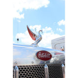 Chrome Bugler Hood Ornament