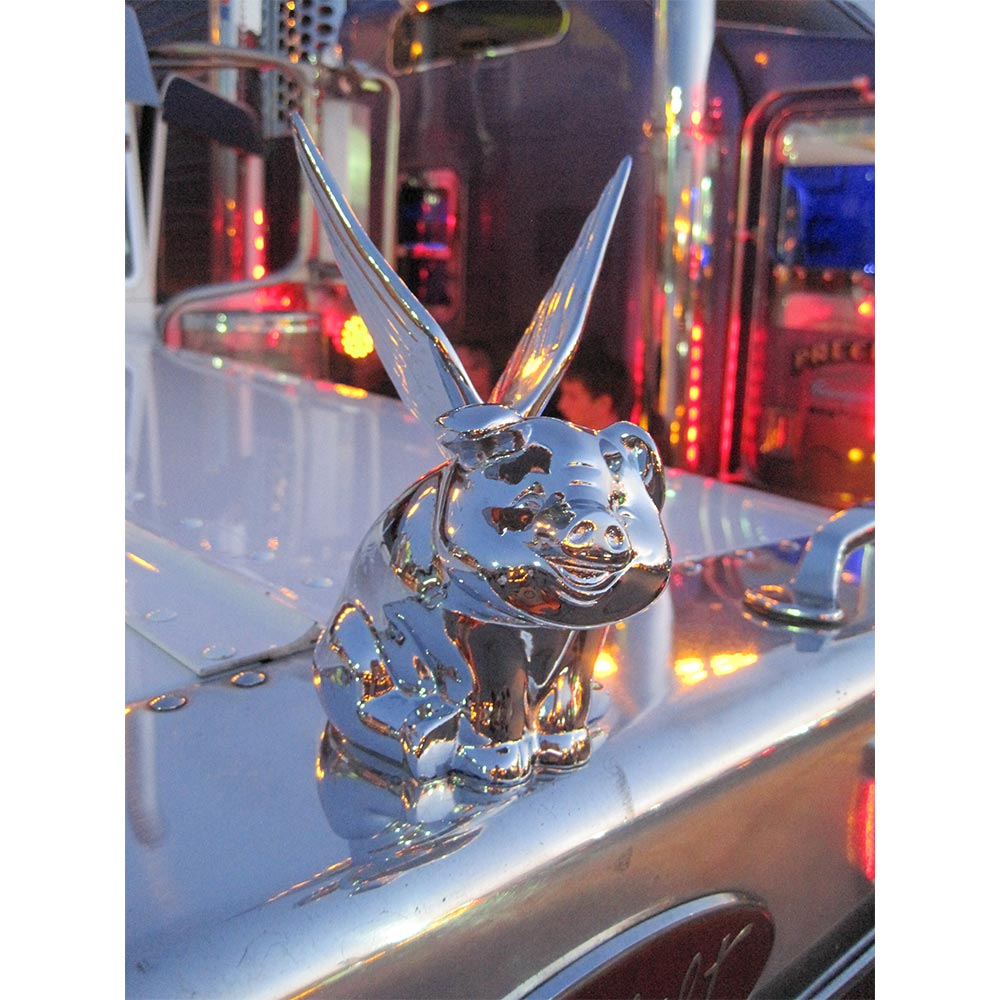 Chrome Winged Pig Hood Ornament