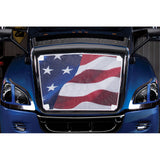 Belmor Bugscreen for Freightliner Cascadia