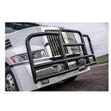 ProTec Black Powder Coated Steel Grill Guard