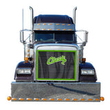 Freightliner Classic Bugscreen
