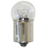 Clear Glass 67 Light Bulb
