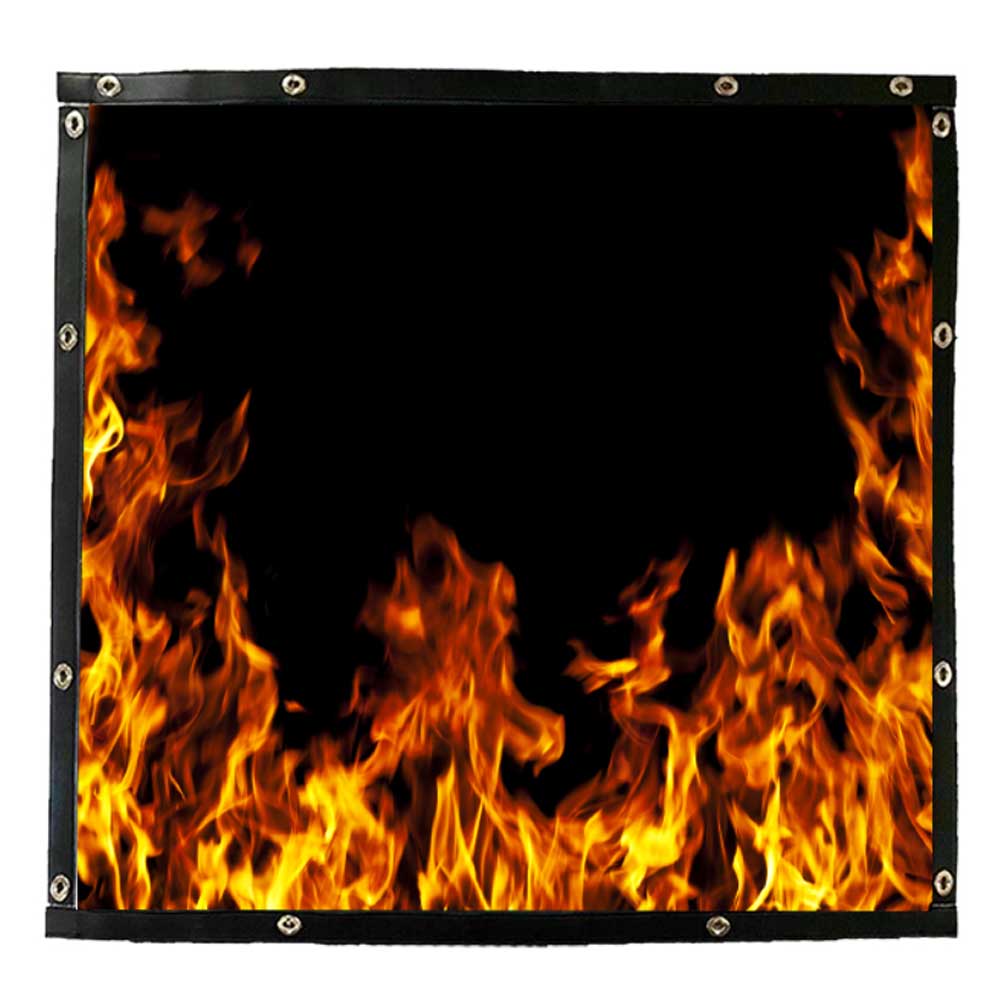 Flames Bugscreen