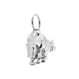 Chrome Bucking Horse Keychain, Bottle Opener