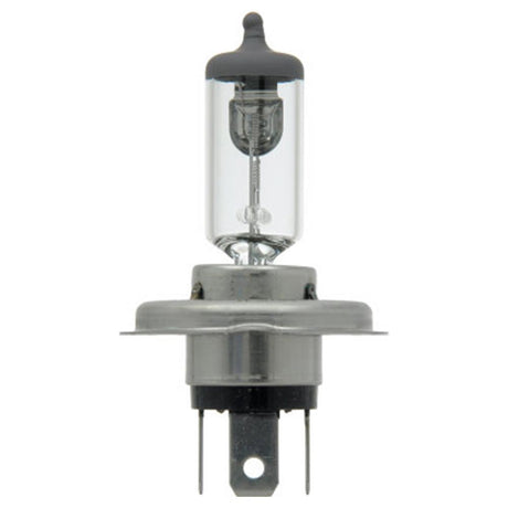 Another angle of Sylvania XtraVision halogen headlight bulbs