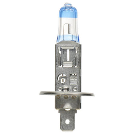 Sylvania SilverStar Ultra halogen headlight bulbs, close-up